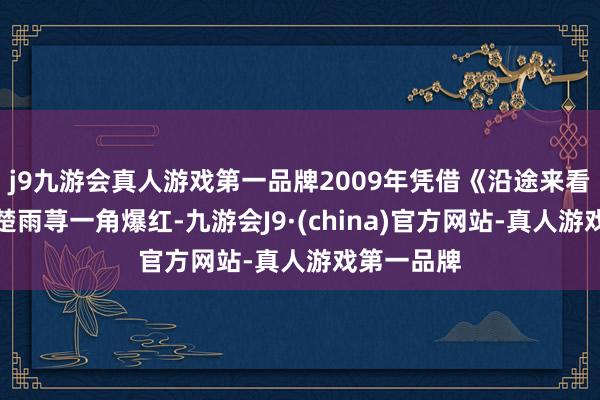 j9九游会真人游戏第一品牌2009年凭借《沿途来看流星雨》楚雨荨一角爆红-九游会J9·(china)官方网站-真人游戏第一品牌
