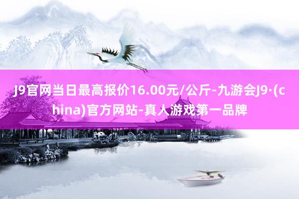 J9官网当日最高报价16.00元/公斤-九游会J9·(china)官方网站-真人游戏第一品牌
